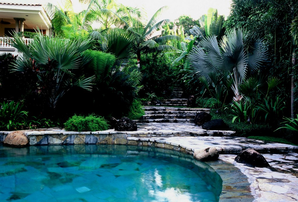 Brought in to work on an oddly shaped property in Panama, Raymond Jungles did what came naturally:  He sized up the site, negotiated some key details with the homeowners and, using water, plants and stone, brought their secluded tropical retreat vibrantly to life. 