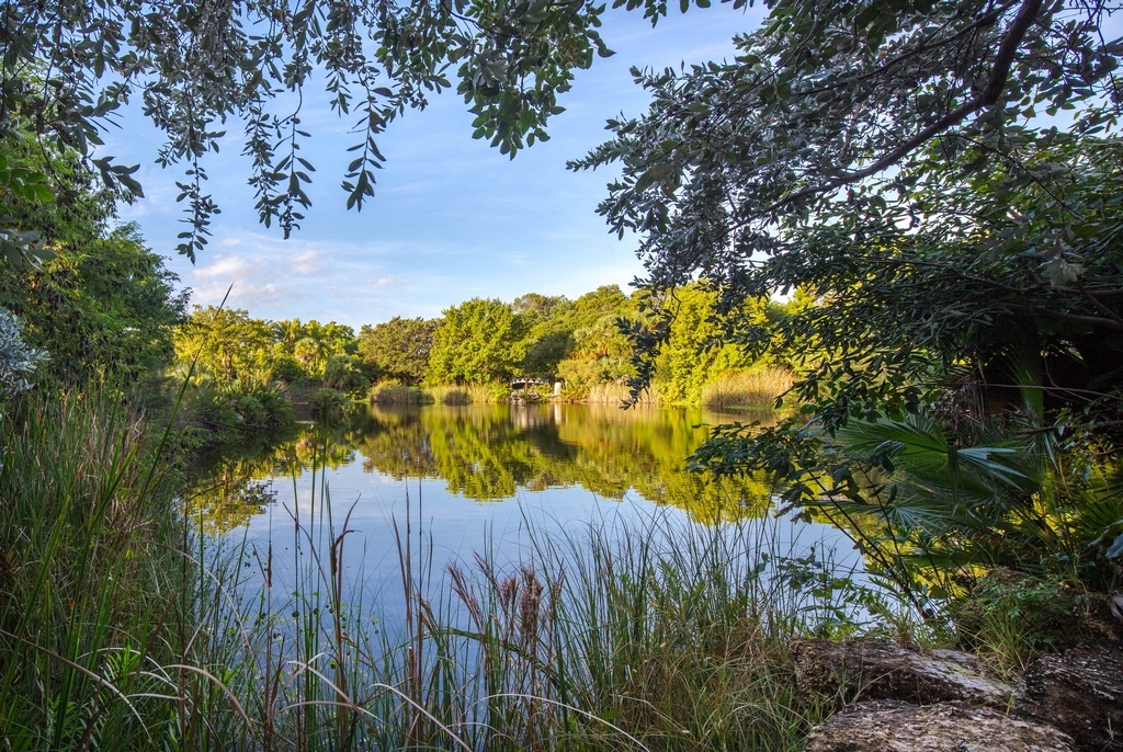 Designing and installing botanical gardens may be soul-satisfying, but it's also a remarkable professional challenge.  As Raymond Jungles writes in the first of three articles on the subject, these projects have multiple audiences, each of them bringing massive expectations to the table.  