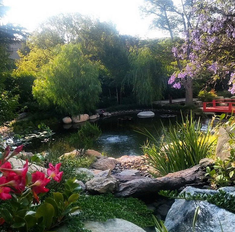 When a client approaches a designer with something specific in mind, working out project parameters can be a challenge.  But in this case, writes Steve Sandalis, the homeowner offered guidance for a backyard pond that was more than welcomed -- and inspired indeed. 