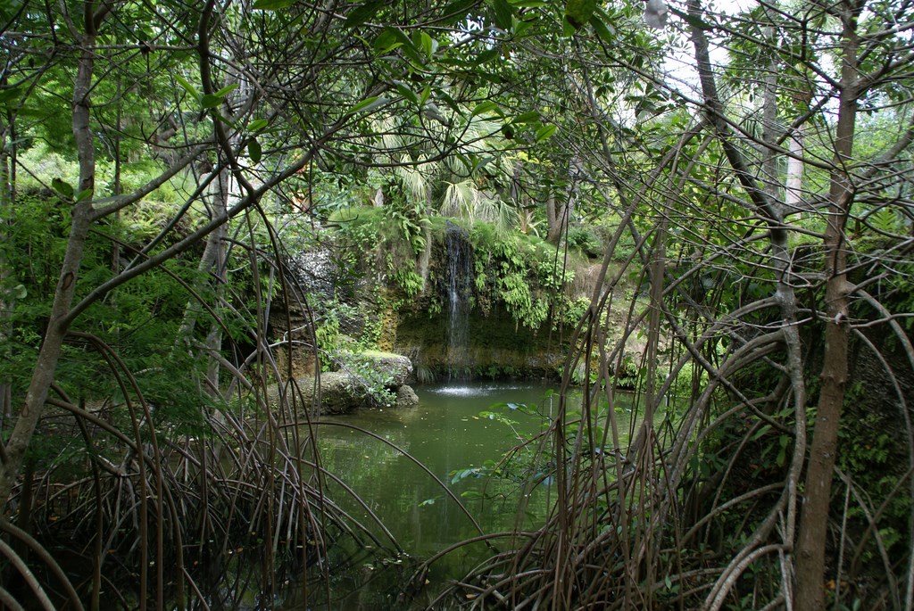 When Mother Nature wipes the slate clean with a hurricane, says Raymond Jungles, it's possible to rework everything about a site.  Having fantastic rock, great plants and a sharp elevation change are great ways to start.  (Photo:  Amanda Jungles Photography)