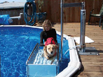 Aquatic Access doglift art