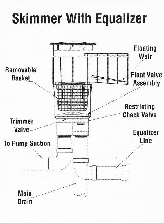 The Skinny on Skimmers Pools/Spas Watershapes