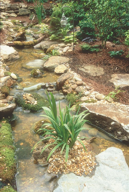 The way pond/stream artist Bob Dews sees it, simple structures he calls 'dirt pockets' could revolutionize the way plants are used in naturalistic watershapes.  For starters, he says, these pockets give him unprecedented flexibility in taking care of the aesthetics.  In addition, they also offer benefits when it comes to the sustained health of the streams, ponds and cascades he's been installing for clients in the most beautiful parts of North Carolina.