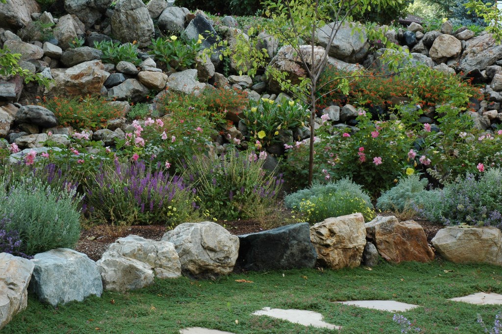 As water resources become more and more precious, xeriscaping is regaining popularity in many parts of the country, says landscape designer Rick Laughlin of Salt Lake City.  In fact, his practice is increasingly about water-wise plantings and finding ways to create unique, beautiful and ecologically friendly landscapes arrayed with drought-tolerant plants.