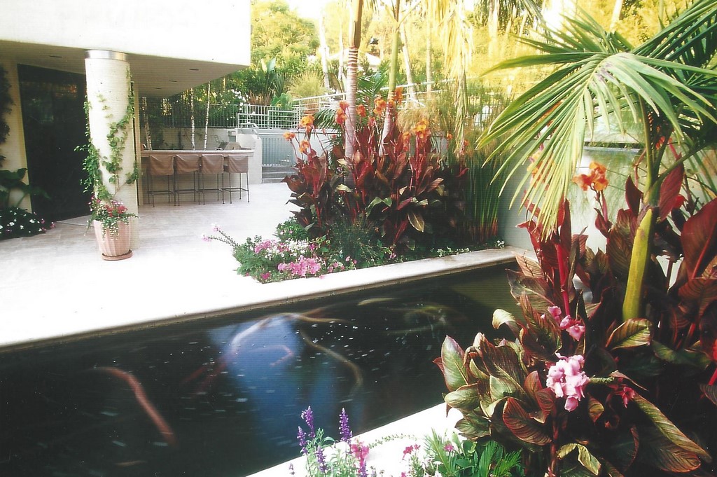 Lined with shimmering Travertine, the formal courtyard needed some softening.  What could be better, thought Colleen Holmes, than adding a sonorous waterfall along with a crisp, rectilinear pond -- and then livening it all up with the flashing colors of mood-altering fish?