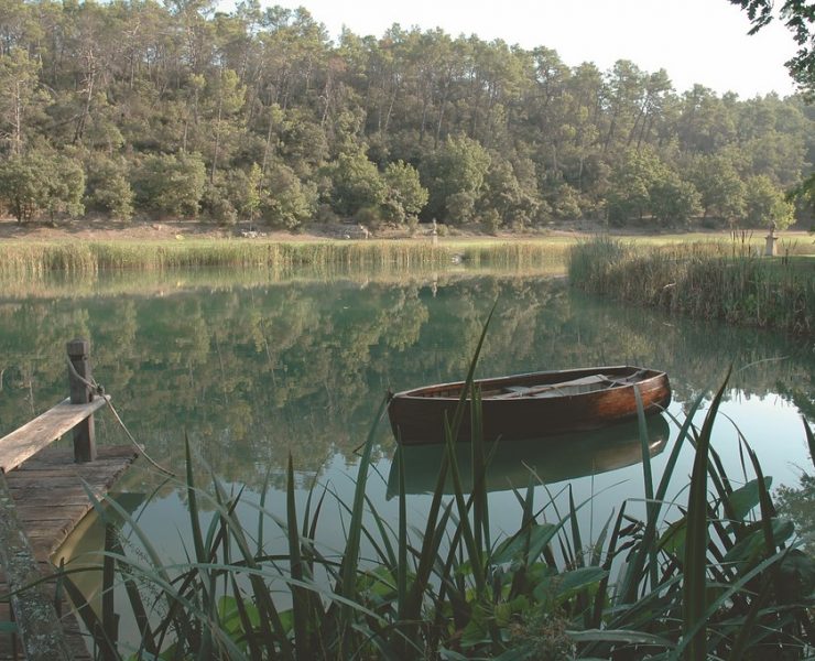 Anthony Archer Wills has spent a four-decade career assembling some of the most beautiful aquatic compositions to be found anywhere in Europe or the United States. Working in a range of scales and styles, he seeks to inspire those who observe his work by bringing them into close proximity with water – whether it’s a lake or a small pond – and by encouraging them in terms both practical and emotional to share his love of water in garden settings.