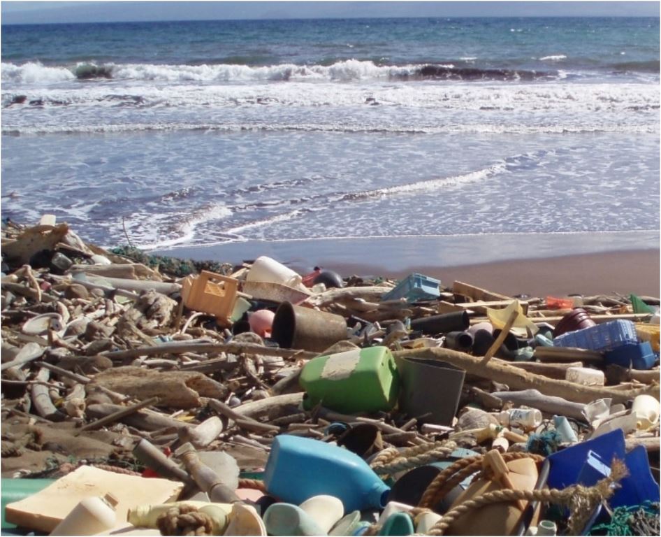 Plastic Pollution on Shoreline